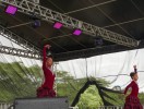 DSC00578