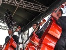 IMG_7131
